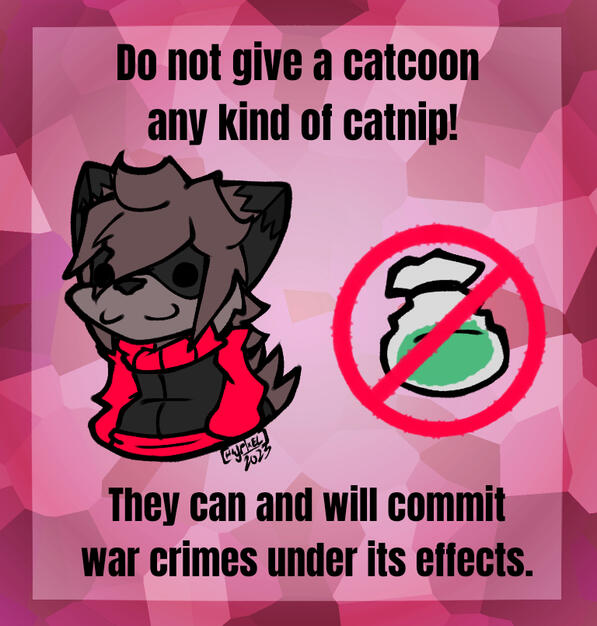 Catcoon Catnip PSA (2023)