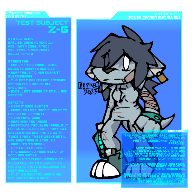 Experiment Z-6 (2023)